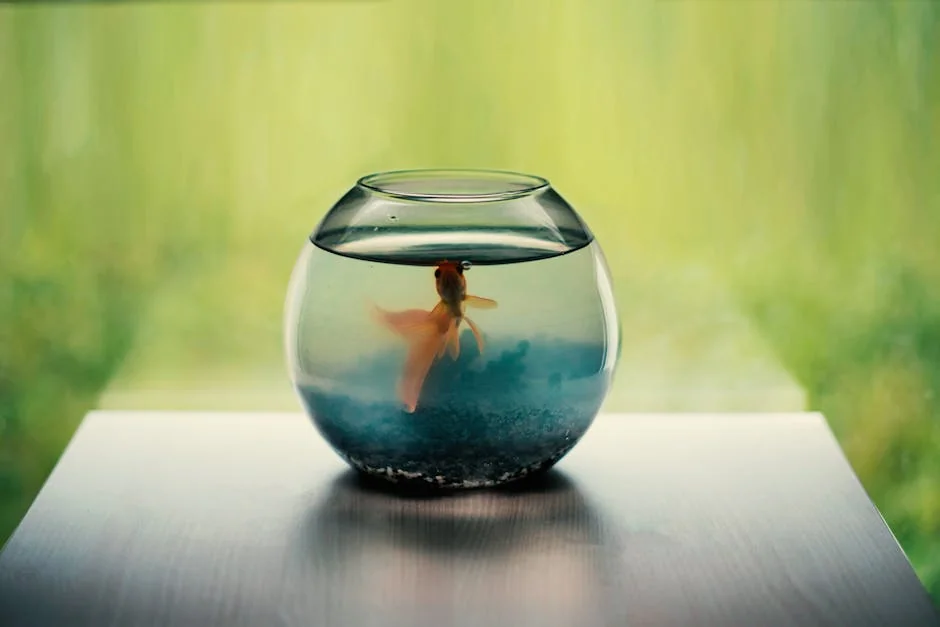 Round fish tank - stock photo