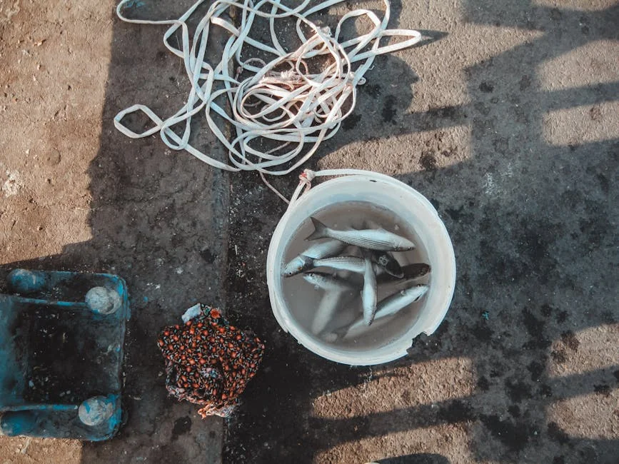 Fish supplies - stock photo