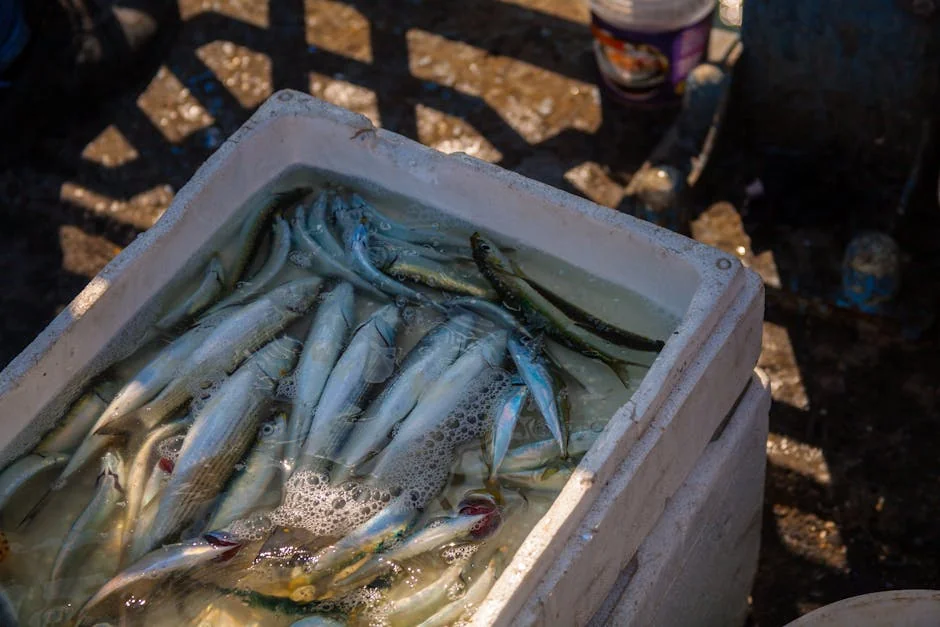 Marine fish - stock photo